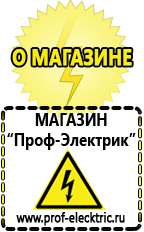 Магазин электрооборудования Проф-Электрик Инвертор+автомобильный акб в Ленинск-кузнецком